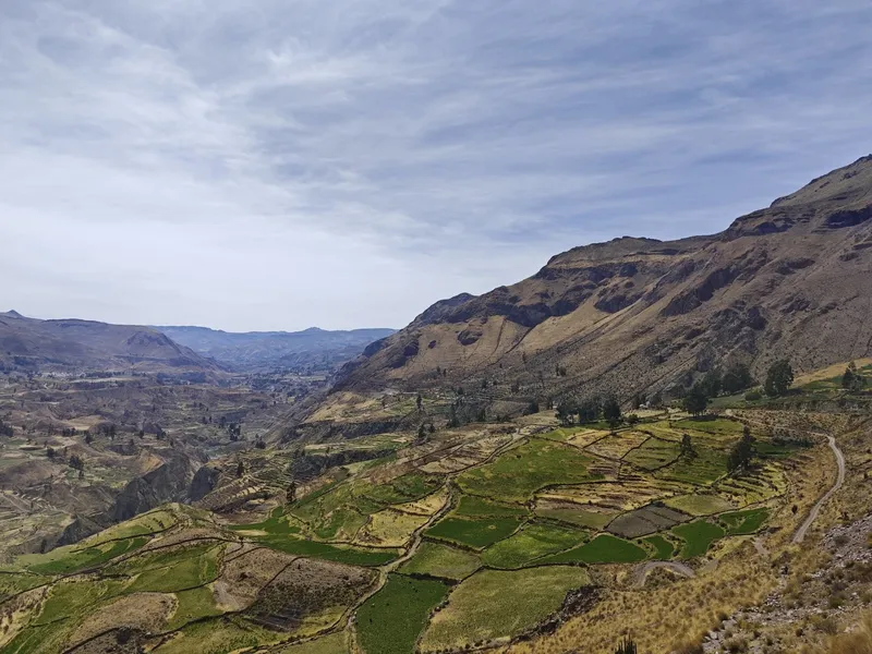 Colca Canyon