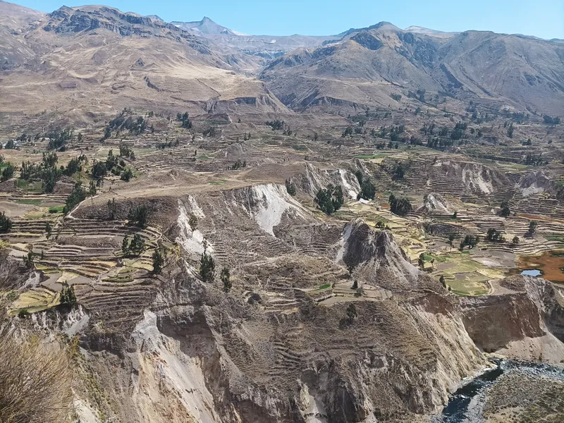 Colca Canyon