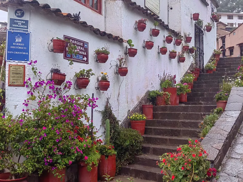 7 Borreguitos Street