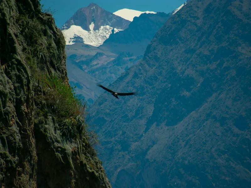 Colca Canyon